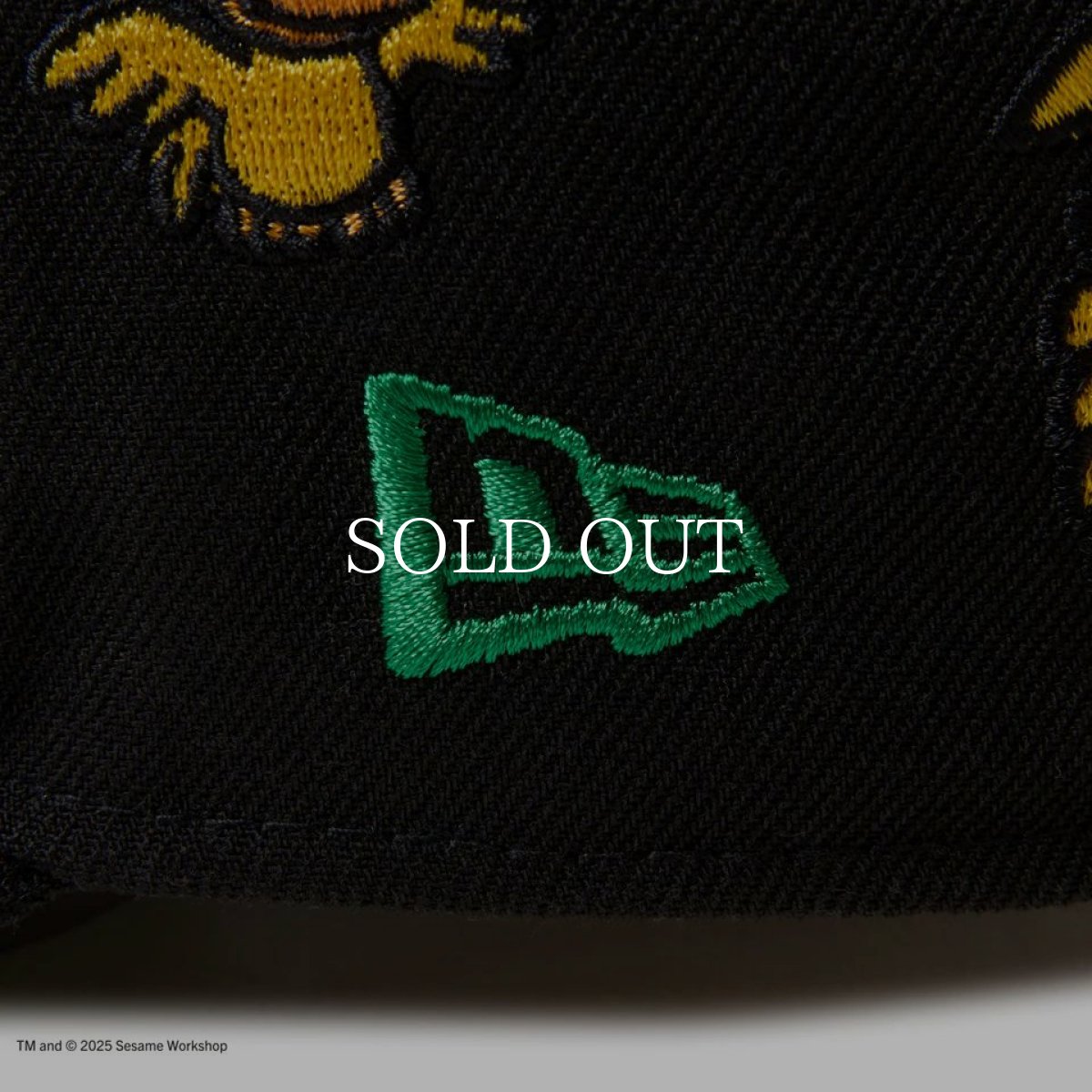 画像9: NEW ERA  キッズ Youth 9FIFTY SESAME STREET セサミストリート オールオーバー ブラック (9)