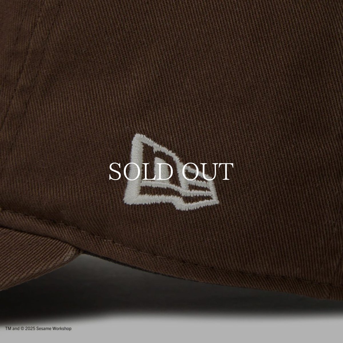 画像7: NEW ERA  9THIRTY SESAME STREET セサミストリート ボックスロゴ Elmo エルモ ウォルナット (7)
