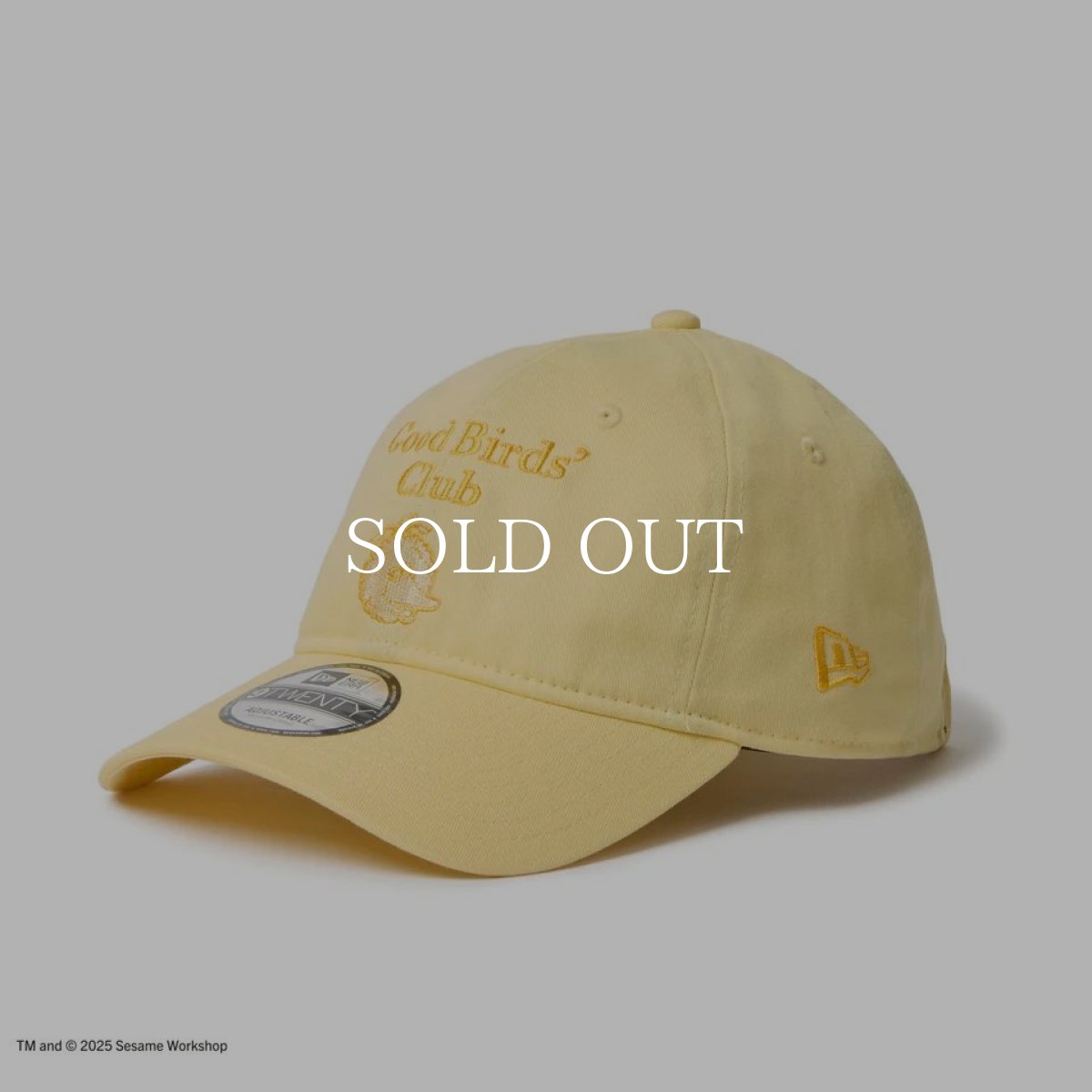 画像1: NEW ERA  9TWENTY SESAME STREET セサミストリート Good Birds’ Club Big Bird ビッグバード ベビーイエロー (1)