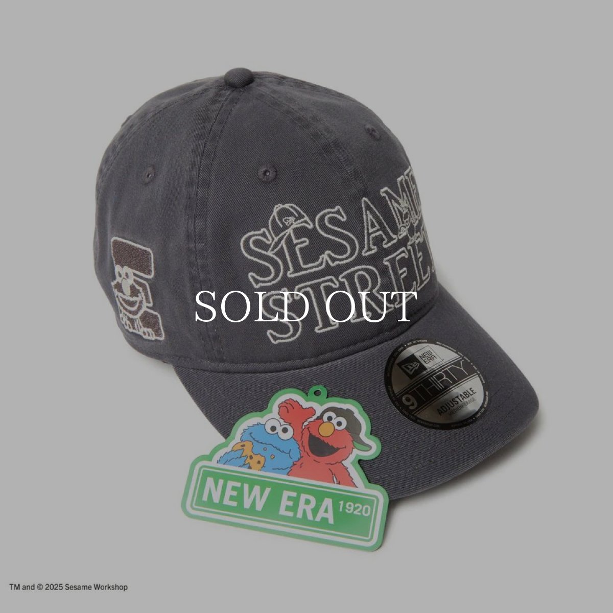 画像7: NEW ERA  9THIRTY SESAME STREET セサミストリート Elmo エルモ サイド ダークグラファイト (7)