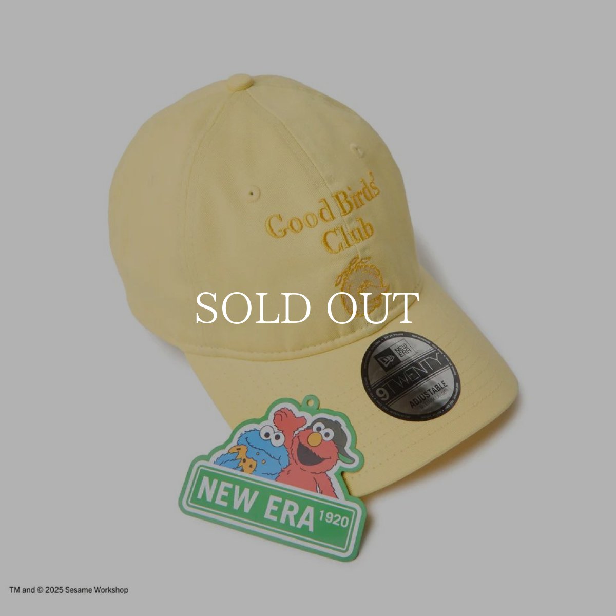 画像5: NEW ERA  9TWENTY SESAME STREET セサミストリート Good Birds’ Club Big Bird ビッグバード ベビーイエロー (5)