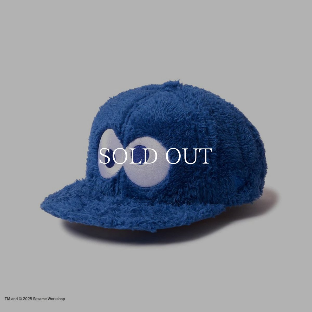 画像1: NEW ERA  9FIFTY SESAME STREET セサミストリート Cookie Monster クッキーモンスター ブルー (1)