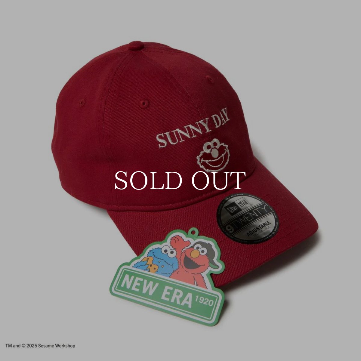 画像5: NEW ERA  9TWENTY SESAME STREET セサミストリート SUNNY DAY Elmo エルモ レッド (5)