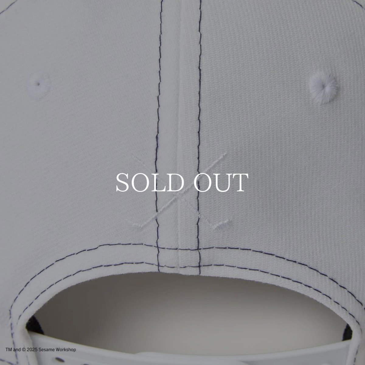 画像10: NEW ERA  9FIFTY ストレッチスナップ SESAME STREET セサミストリート Golf is Good ホワイト ネイビーバイザー | ゴルフ (10)