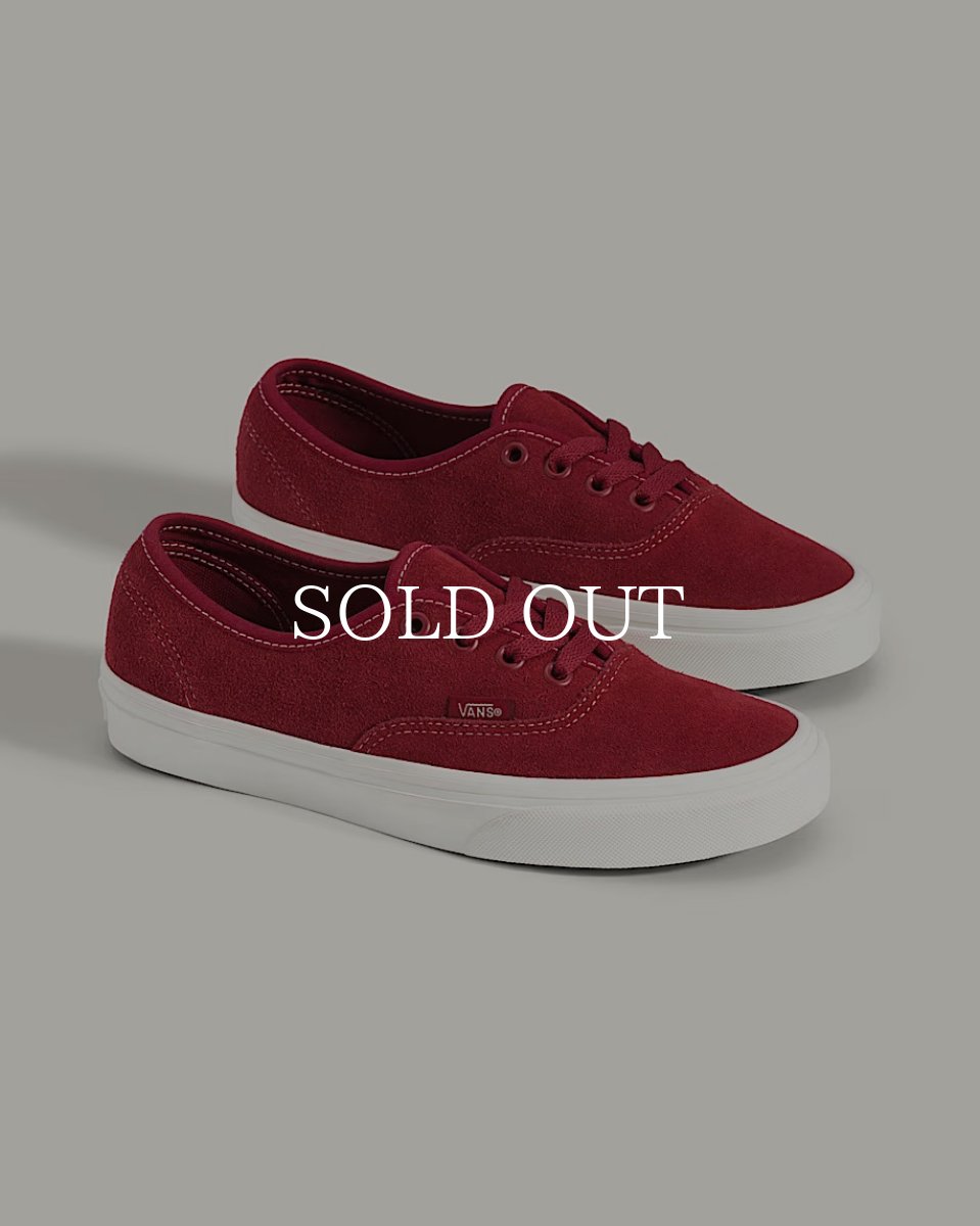 画像2: VANS  Authentic (2)
