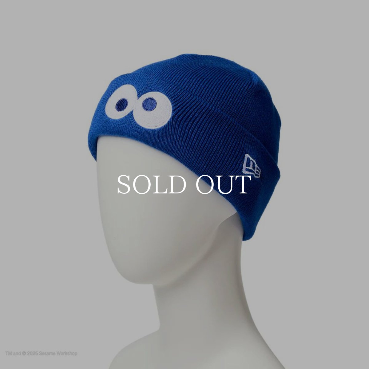 画像2: NEW ERA  キッズ Kid's ベーシック カフニット SESAME STREET セサミストリート Cookie Monster クッキーモンスター ブルー (2)
