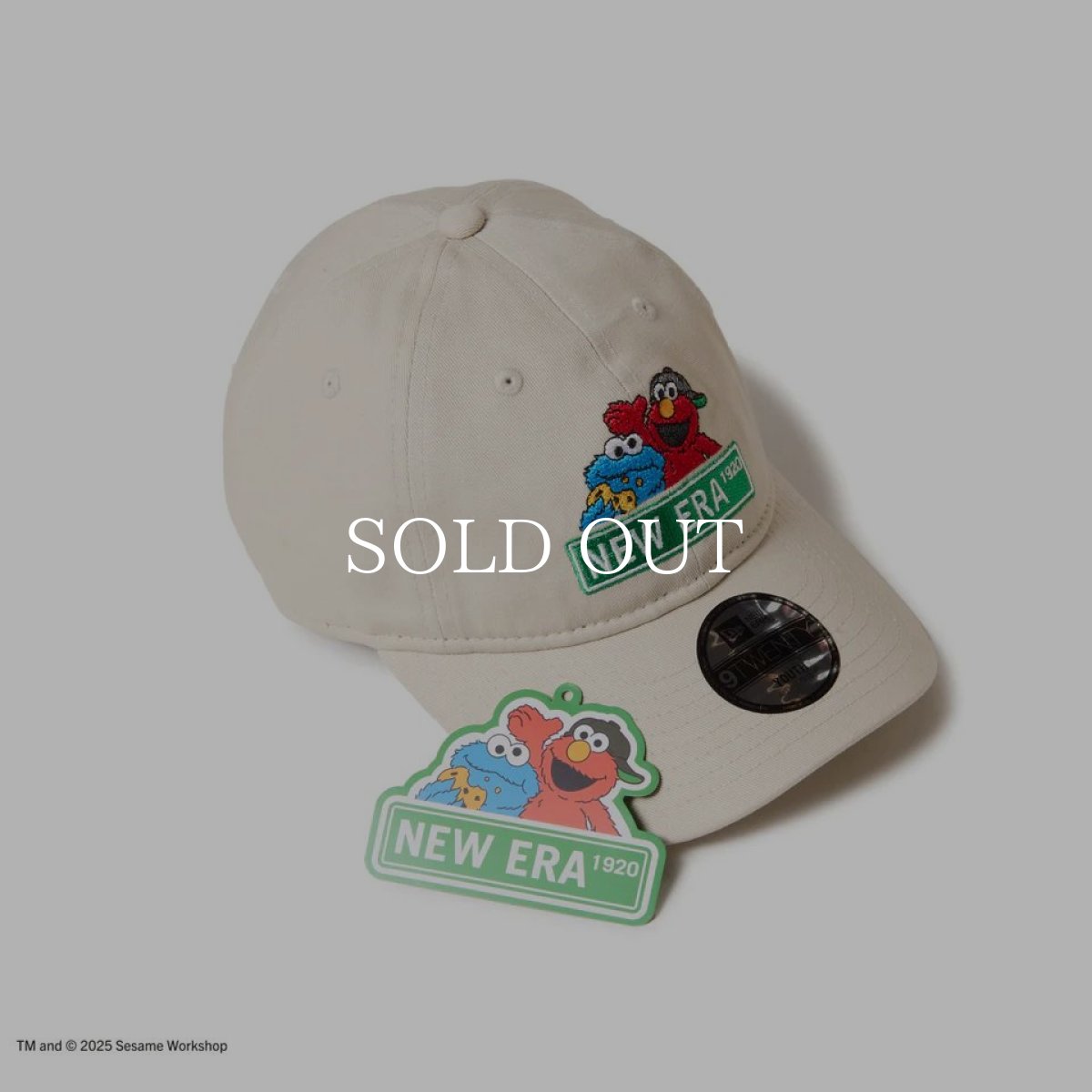 画像5: NEW ERA  キッズ Youth 9TWENTY SESAME STREET セサミストリート NEW ERA ストーン (5)