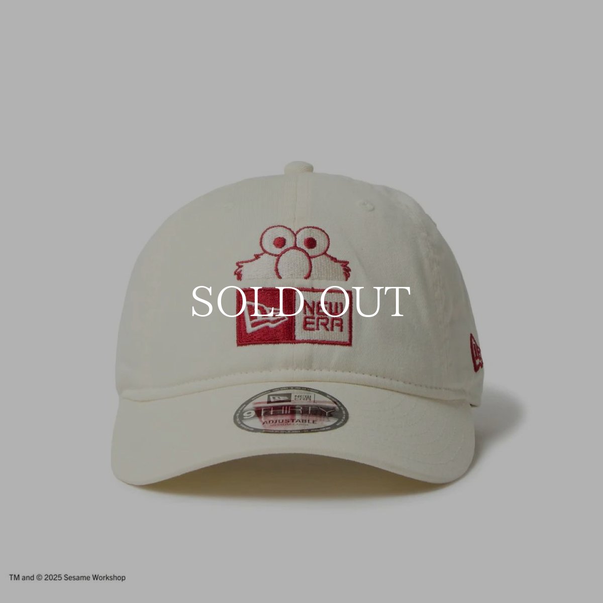 画像2: NEW ERA  9THIRTY SESAME STREET セサミストリート ボックスロゴ Elmo エルモ ストーン (2)