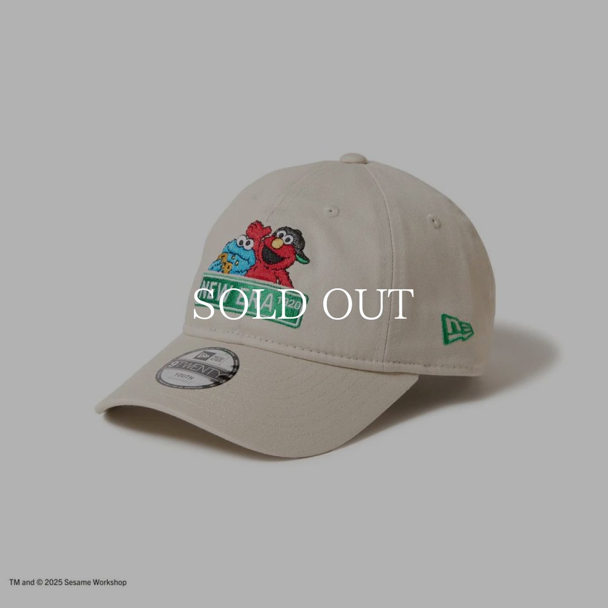 画像1: NEW ERA  キッズ Youth 9TWENTY SESAME STREET セサミストリート NEW ERA ストーン (1)