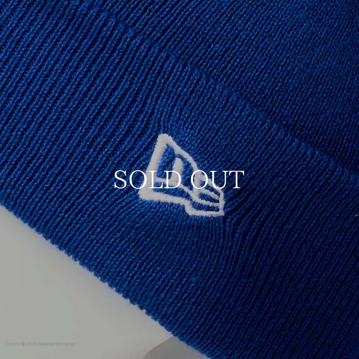 画像7: NEW ERA  キッズ Kid's ベーシック カフニット SESAME STREET セサミストリート Cookie Monster クッキーモンスター ブルー (7)