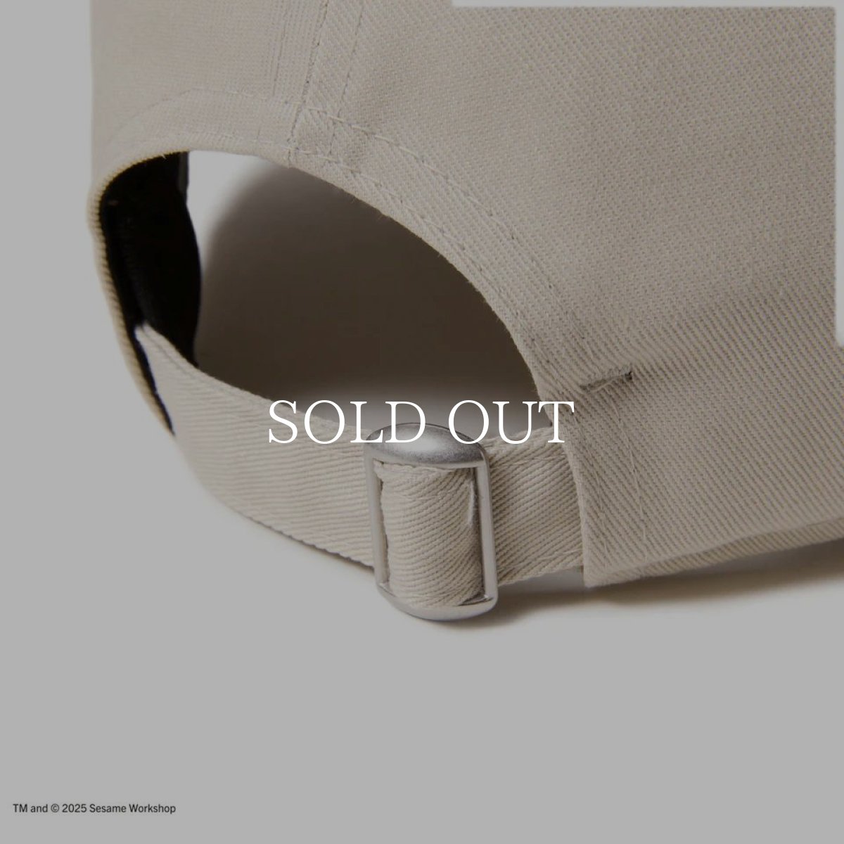 画像8: NEW ERA  キッズ Youth 9TWENTY SESAME STREET セサミストリート NEW ERA ストーン (8)