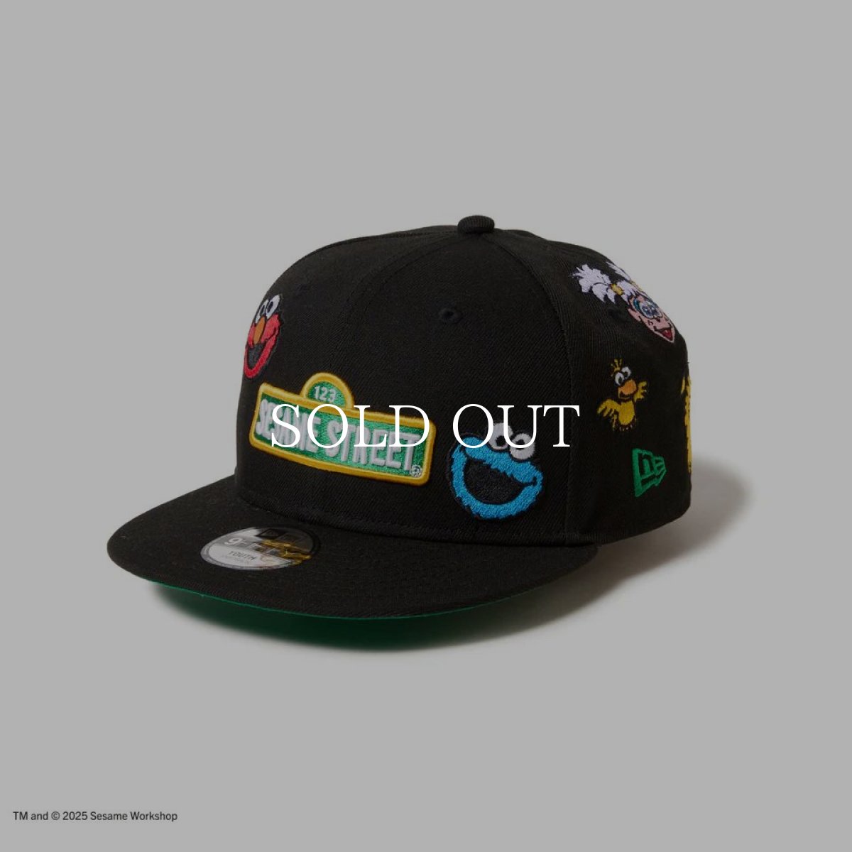 画像2: NEW ERA  キッズ Youth 9FIFTY SESAME STREET セサミストリート オールオーバー ブラック (2)