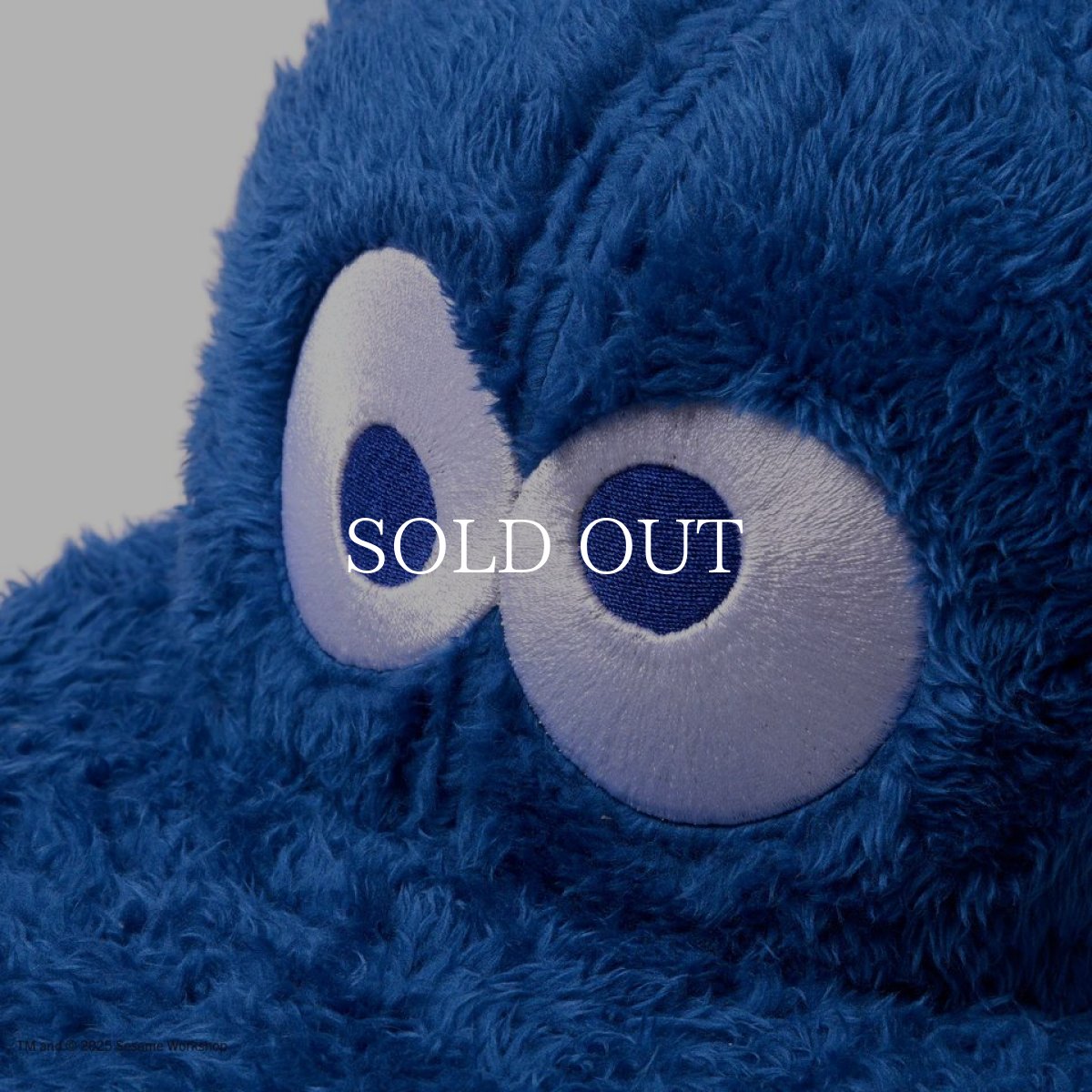 画像5: NEW ERA  9FIFTY SESAME STREET セサミストリート Cookie Monster クッキーモンスター ブルー (5)
