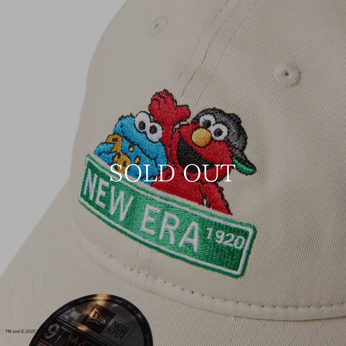 画像6: NEW ERA  キッズ Youth 9TWENTY SESAME STREET セサミストリート NEW ERA ストーン (6)