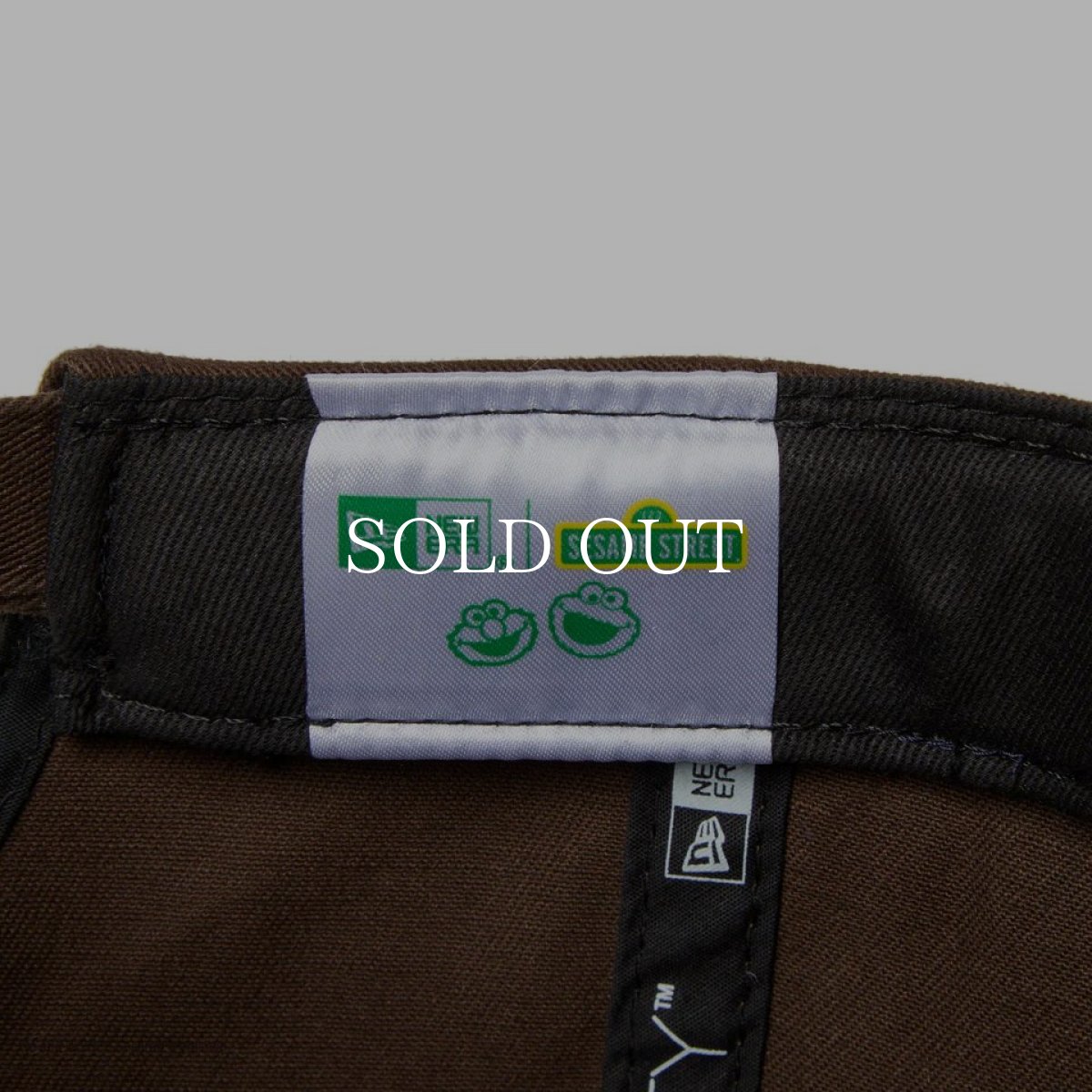 画像9: NEW ERA  9THIRTY SESAME STREET セサミストリート ボックスロゴ Elmo エルモ ウォルナット (9)