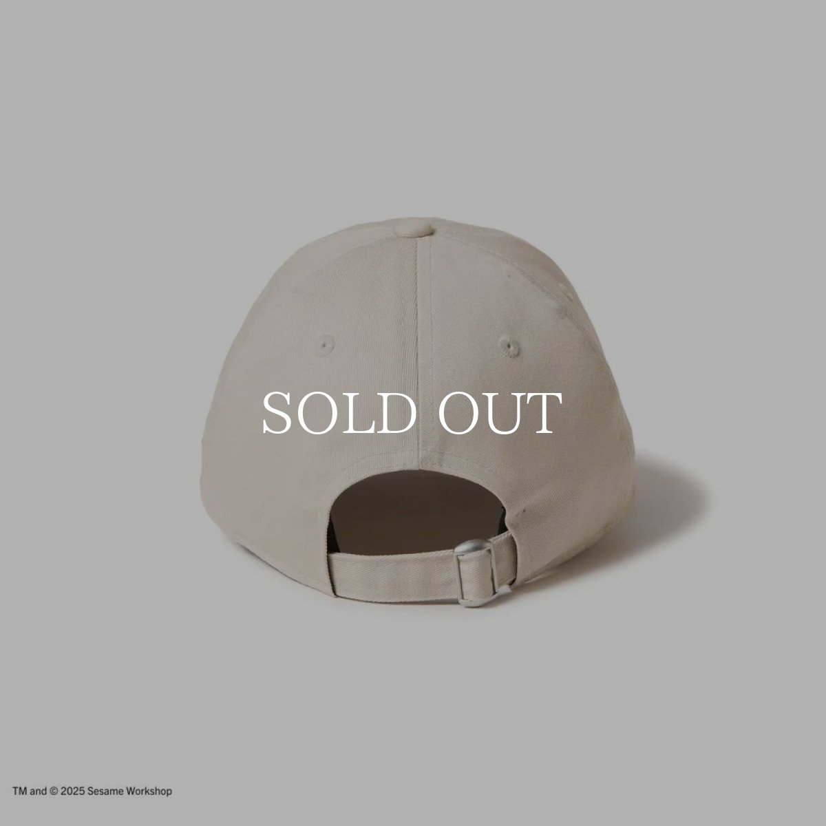 画像3: NEW ERA  キッズ Youth 9TWENTY SESAME STREET セサミストリート NEW ERA ストーン (3)