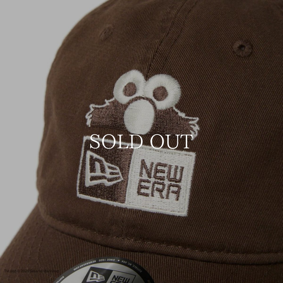 画像6: NEW ERA  9THIRTY SESAME STREET セサミストリート ボックスロゴ Elmo エルモ ウォルナット (6)