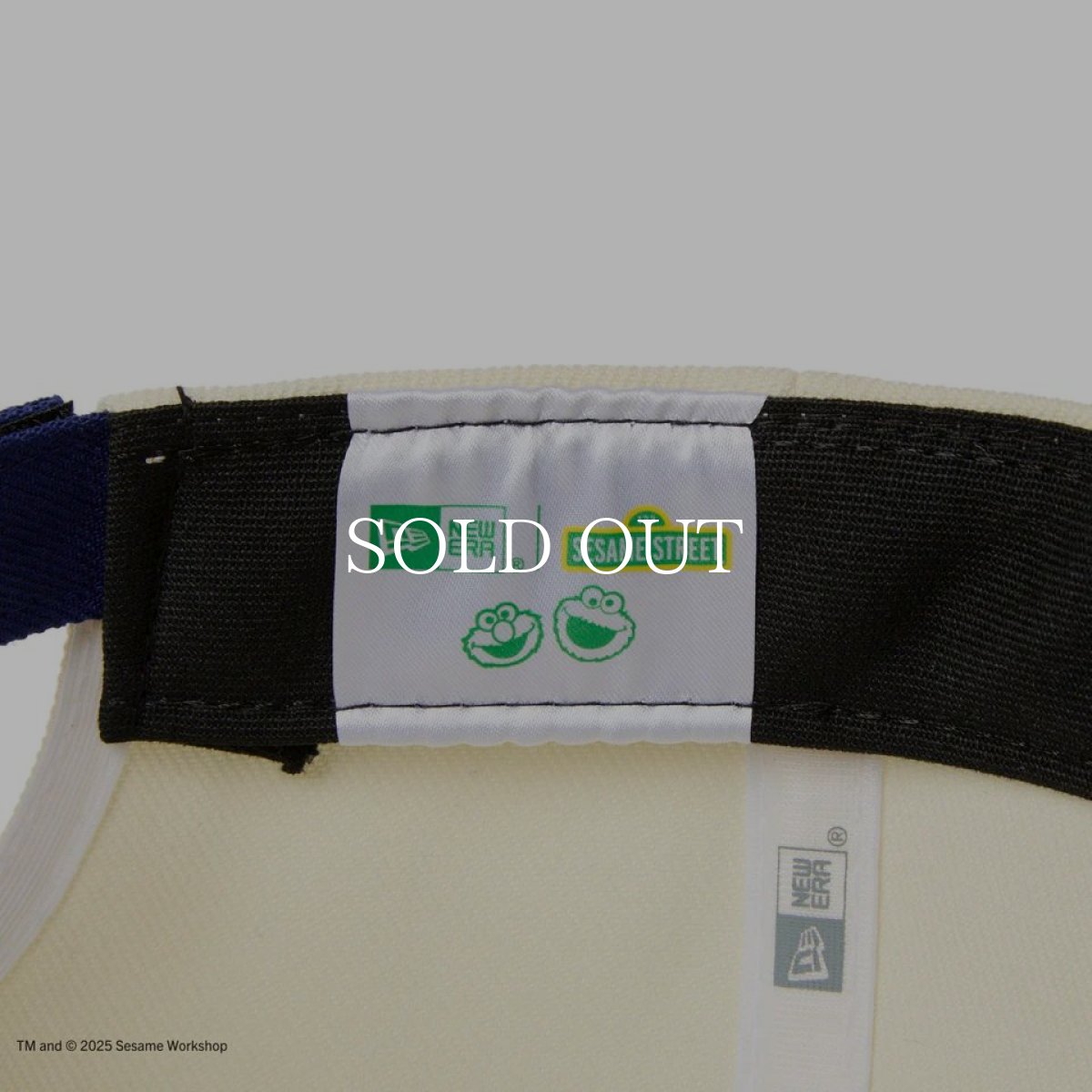 画像10: NEW ERA  9FORTY SESAME STREET セサミストリート Cookie Monster クッキーモンスター クロームホワイト ブルーバイザー | ゴルフ (10)