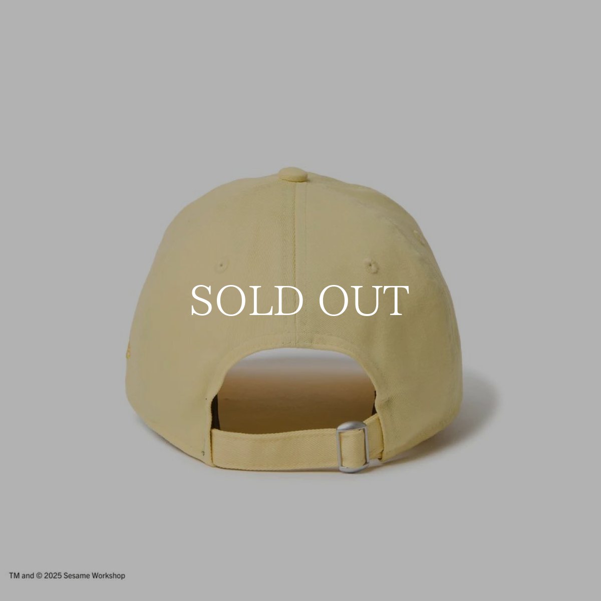 画像3: NEW ERA  9TWENTY SESAME STREET セサミストリート Good Birds’ Club Big Bird ビッグバード ベビーイエロー (3)