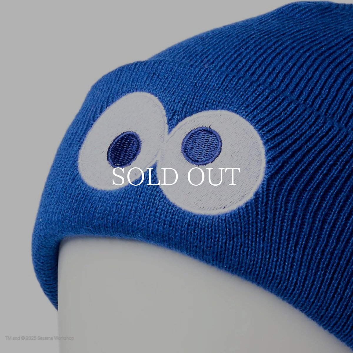 画像3: NEW ERA  キッズ Kid's ベーシック カフニット SESAME STREET セサミストリート Cookie Monster クッキーモンスター ブルー (3)