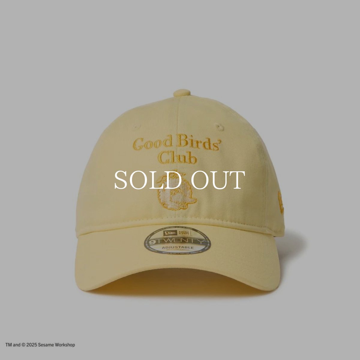 画像2: NEW ERA  9TWENTY SESAME STREET セサミストリート Good Birds’ Club Big Bird ビッグバード ベビーイエロー (2)