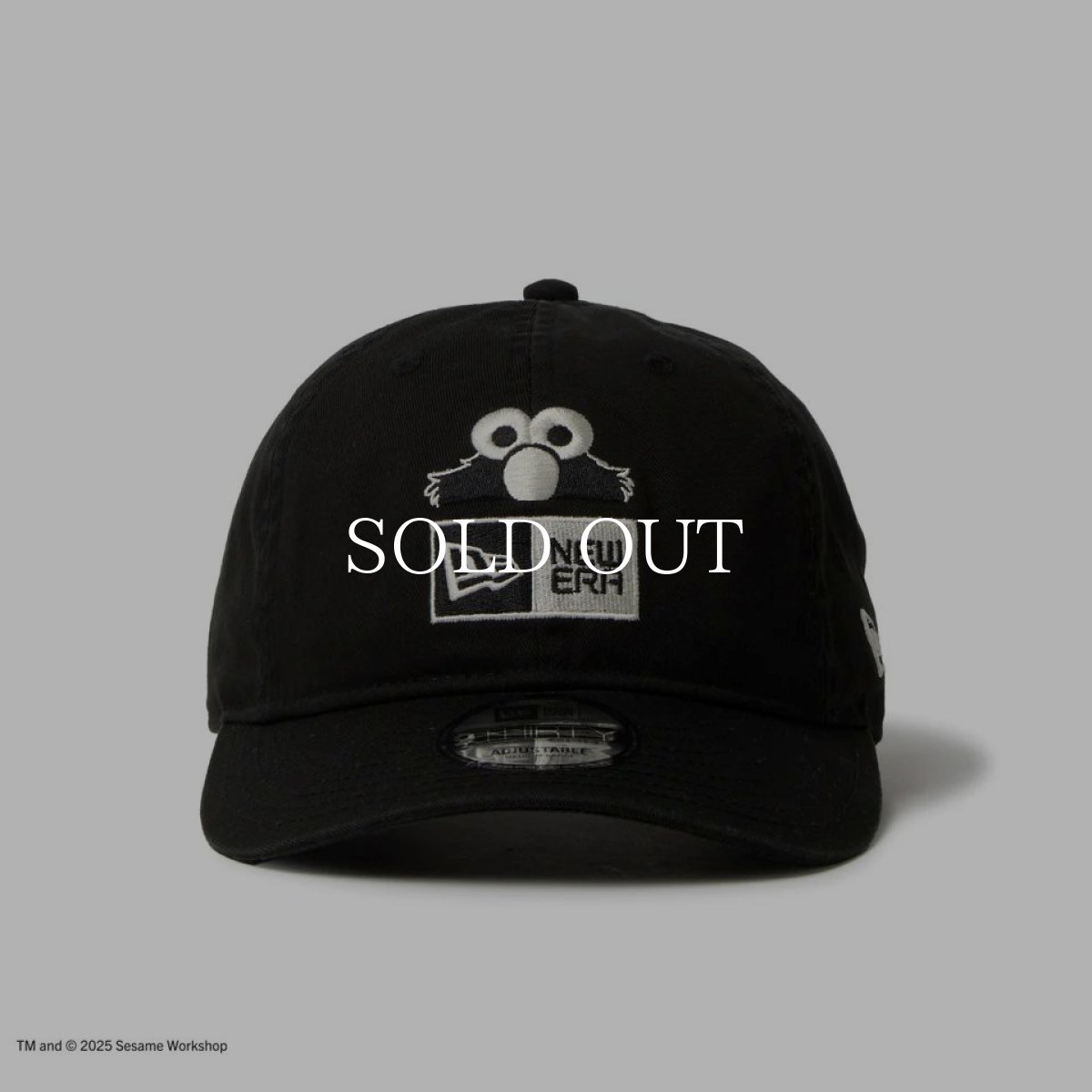 画像2: NEW ERA  9THIRTY SESAME STREET セサミストリート ボックスロゴ Elmo エルモ ブラック (2)