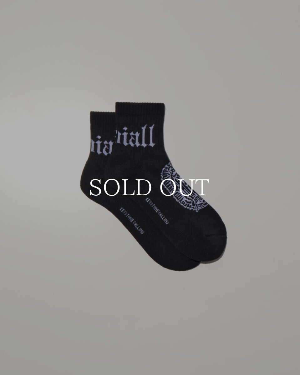 画像2: RADIALL  【再入荷】 CRADLE-1PAC SOX SHORT / DRALON (2)