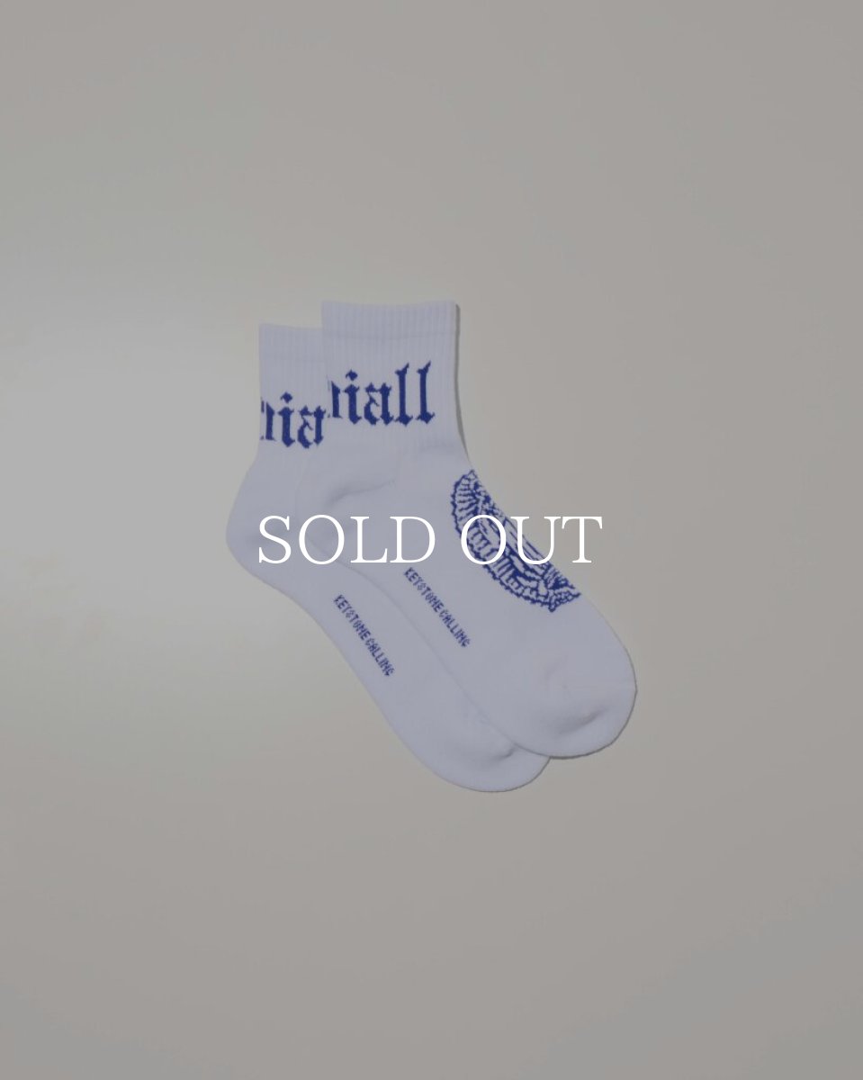 画像1: RADIALL  【再入荷】 CRADLE-1PAC SOX SHORT / DRALON (1)