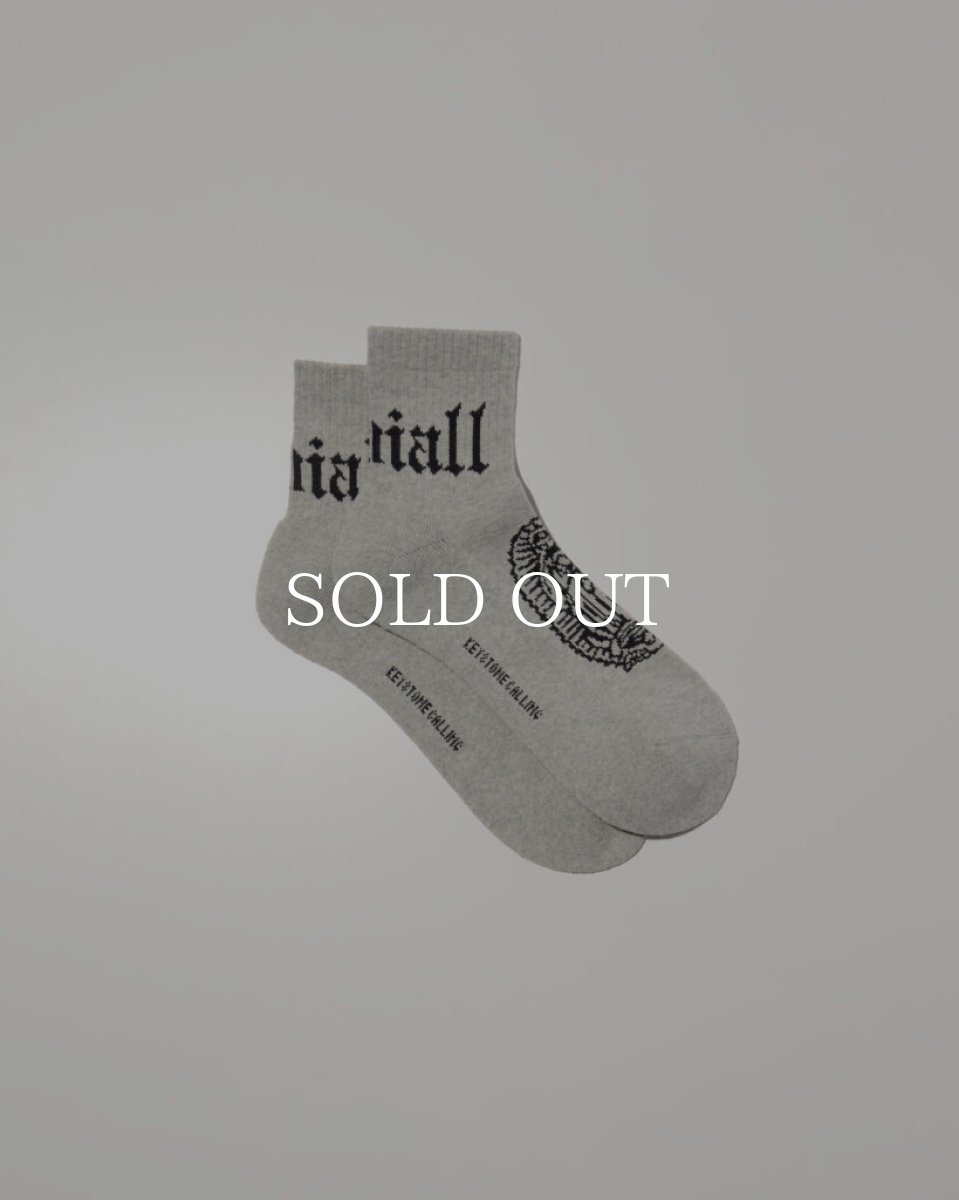 画像3: RADIALL  【再入荷】 CRADLE-1PAC SOX SHORT / DRALON (3)