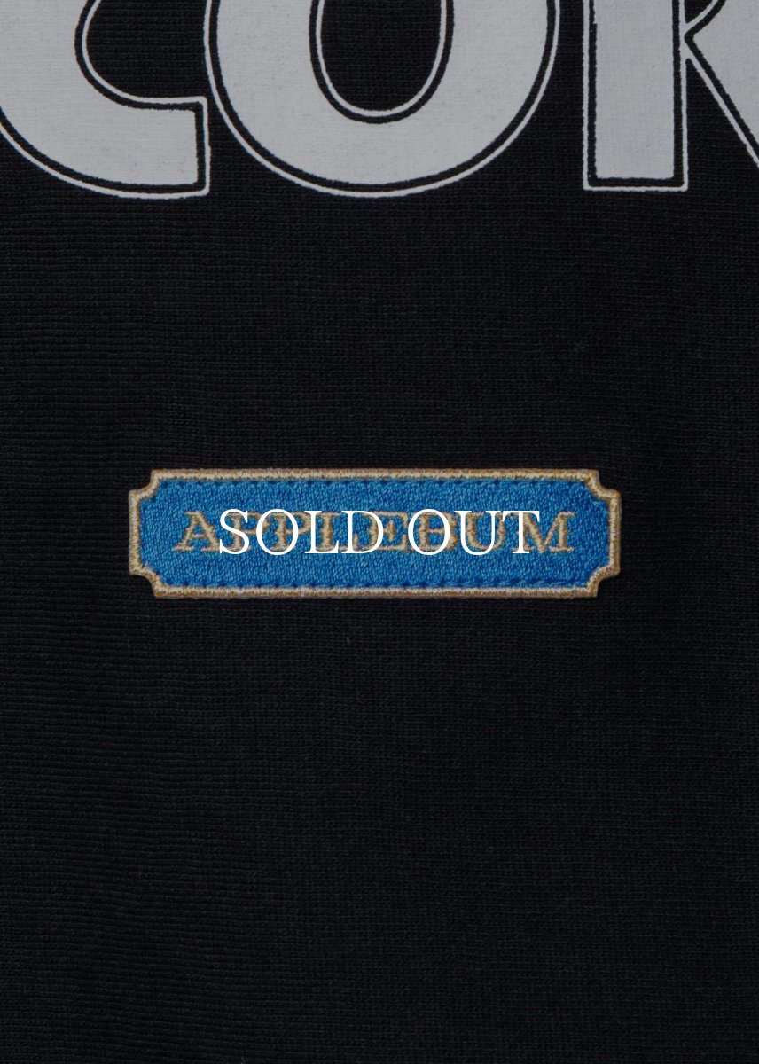 画像5: APPLEBUM  “DEATH ROW RECORDS” SWEAT HOODIE (5)