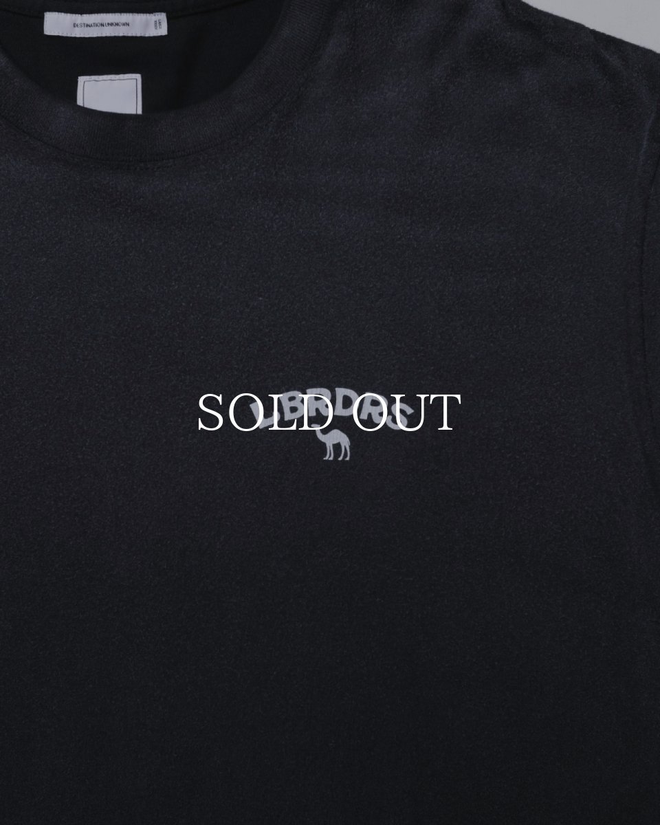 画像7: Liberaiders  CAMEL TEE (7)