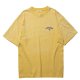 YELLOW__SYELLOW__