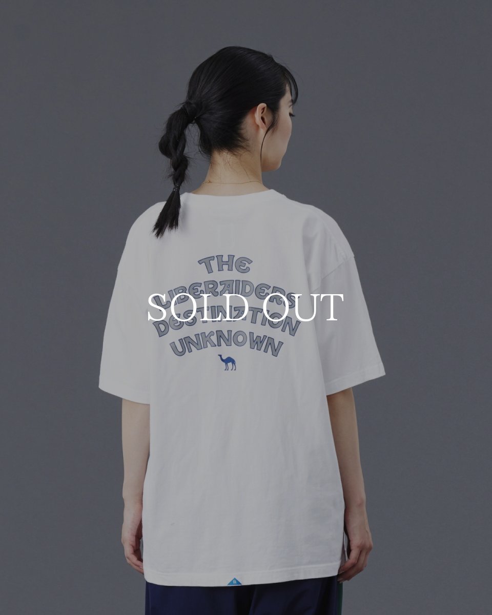 画像14: Liberaiders  CAMEL TEE (14)