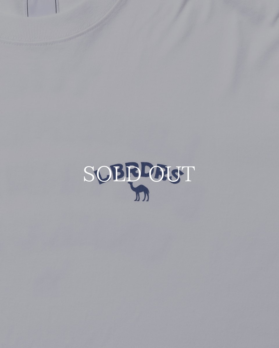 画像3: Liberaiders  CAMEL TEE (3)