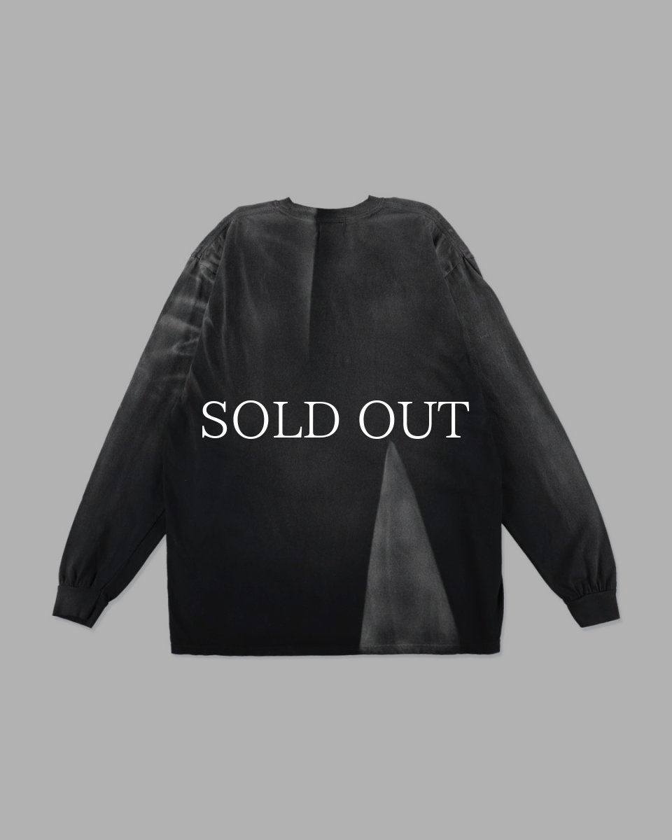 画像2: BOW WOW  U.S. AIR FORCE EAGLE LS AGED (2)