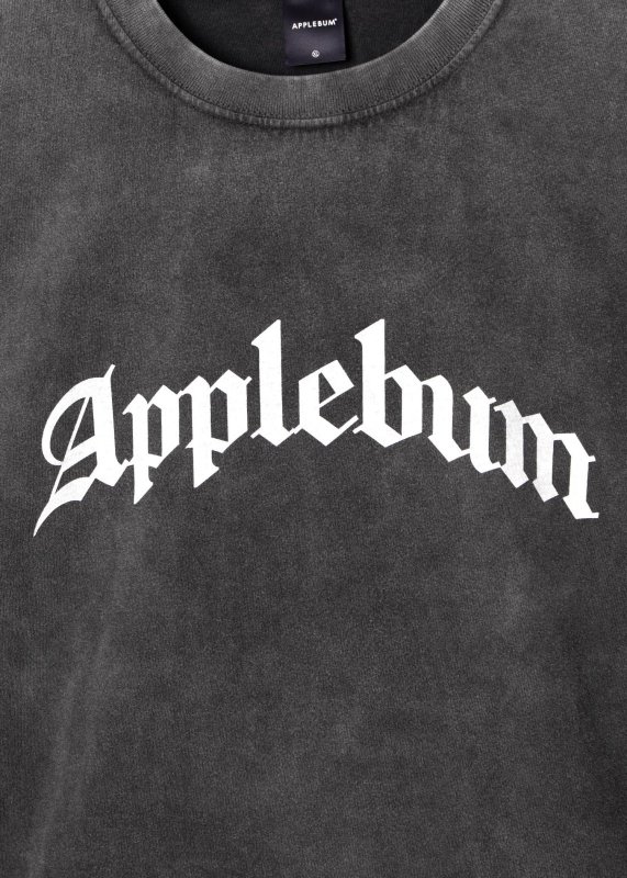 APPLEBUM Vintage L/S T-shirt HS2511122 公式通販