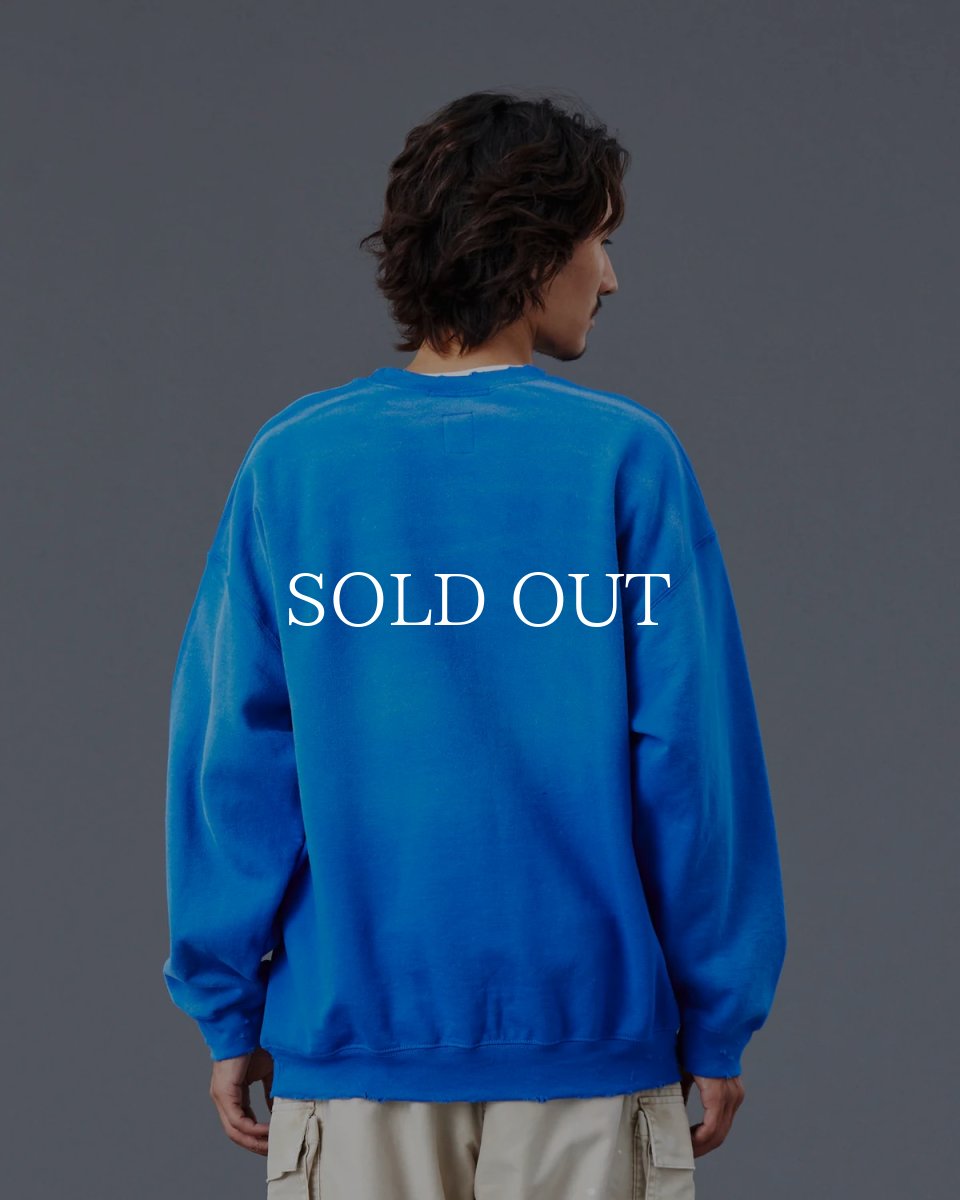 画像26: Liberaiders  PORTRAIT CREWNECK (26)