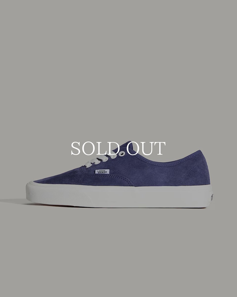 画像1: VANS  Authentic (1)