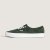 PIG SUEDE Dried Kelp__SKelp__