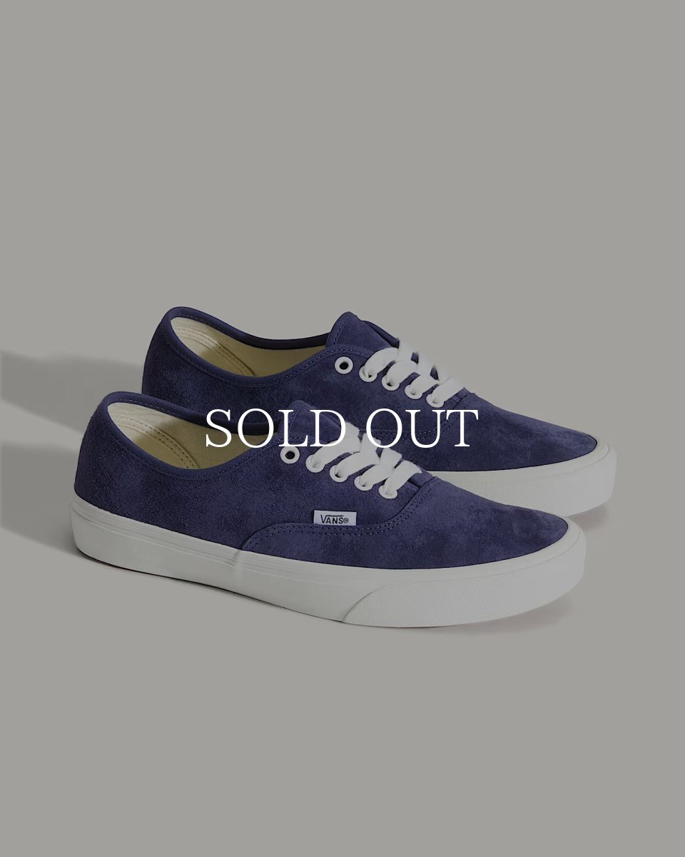画像2: VANS  Authentic (2)