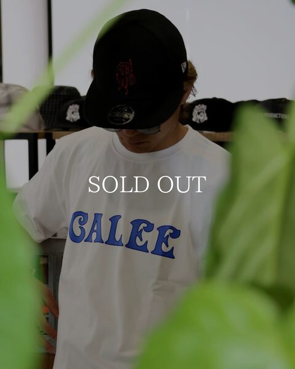 画像7: CALEE STRETCH S.V.D.S.H LOGO TEE (7)