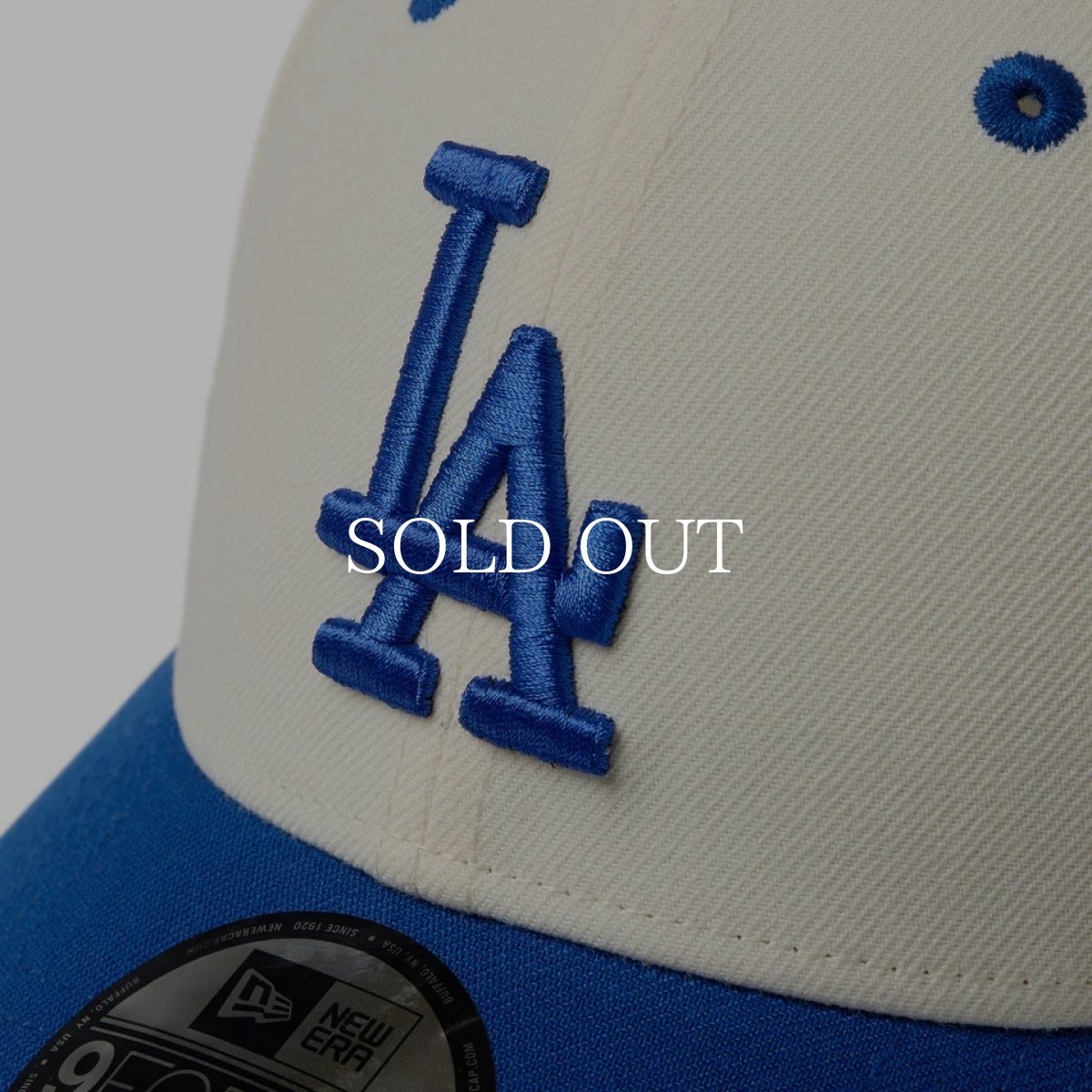 画像5: NEW ERA  9FORTY 2-Tone Woven Label ロサンゼルス・ドジャース クローム ロイヤルバイザー (5)