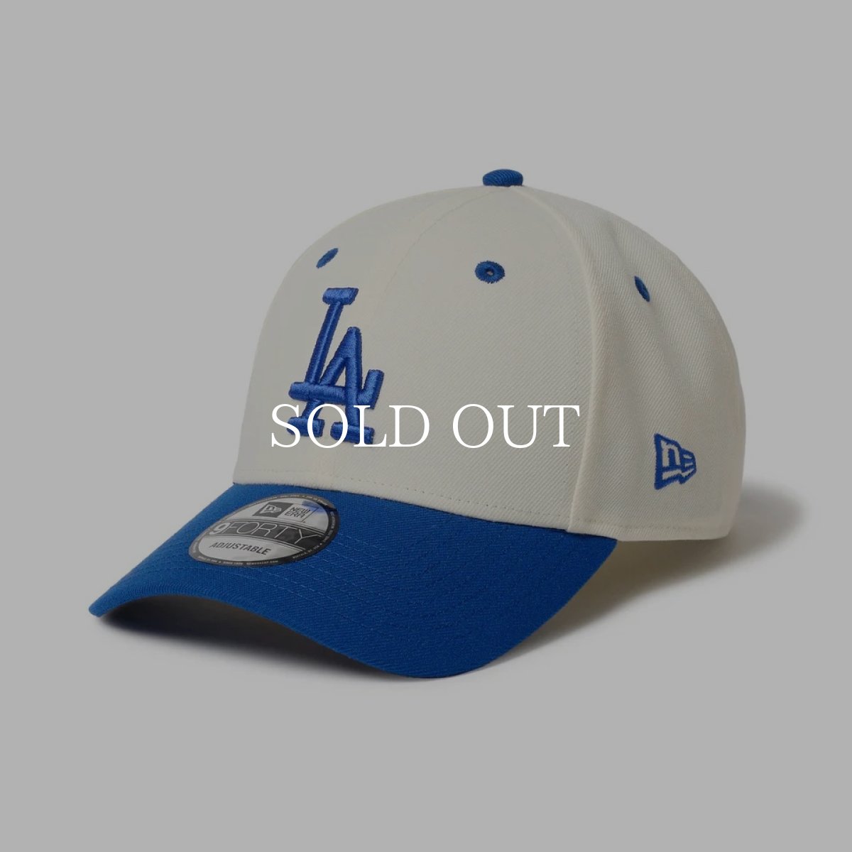 画像1: NEW ERA  9FORTY 2-Tone Woven Label ロサンゼルス・ドジャース クローム ロイヤルバイザー (1)
