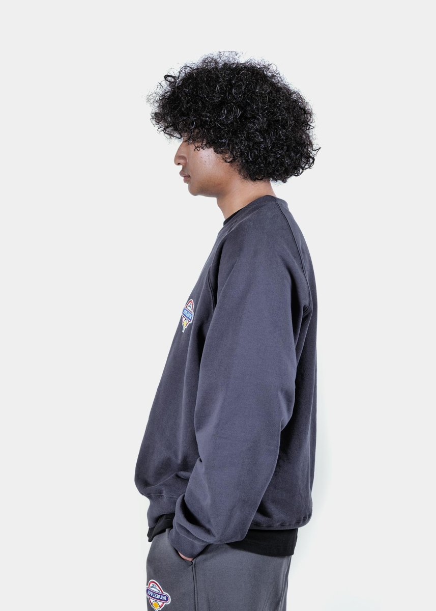 画像12: APPLEBUM  Wappen Crew Sweat (12)