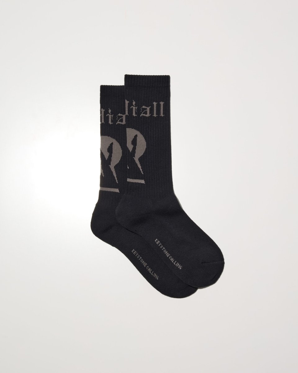 画像2: RADIALL  KEYSTONE-1PAC SOX LONG / DRALON (2)