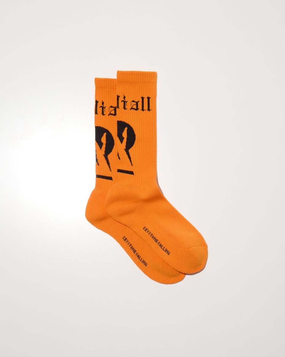 画像3: RADIALL  KEYSTONE-1PAC SOX LONG / DRALON (3)