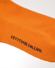 画像6: RADIALL  KEYSTONE-1PAC SOX LONG / DRALON (6)