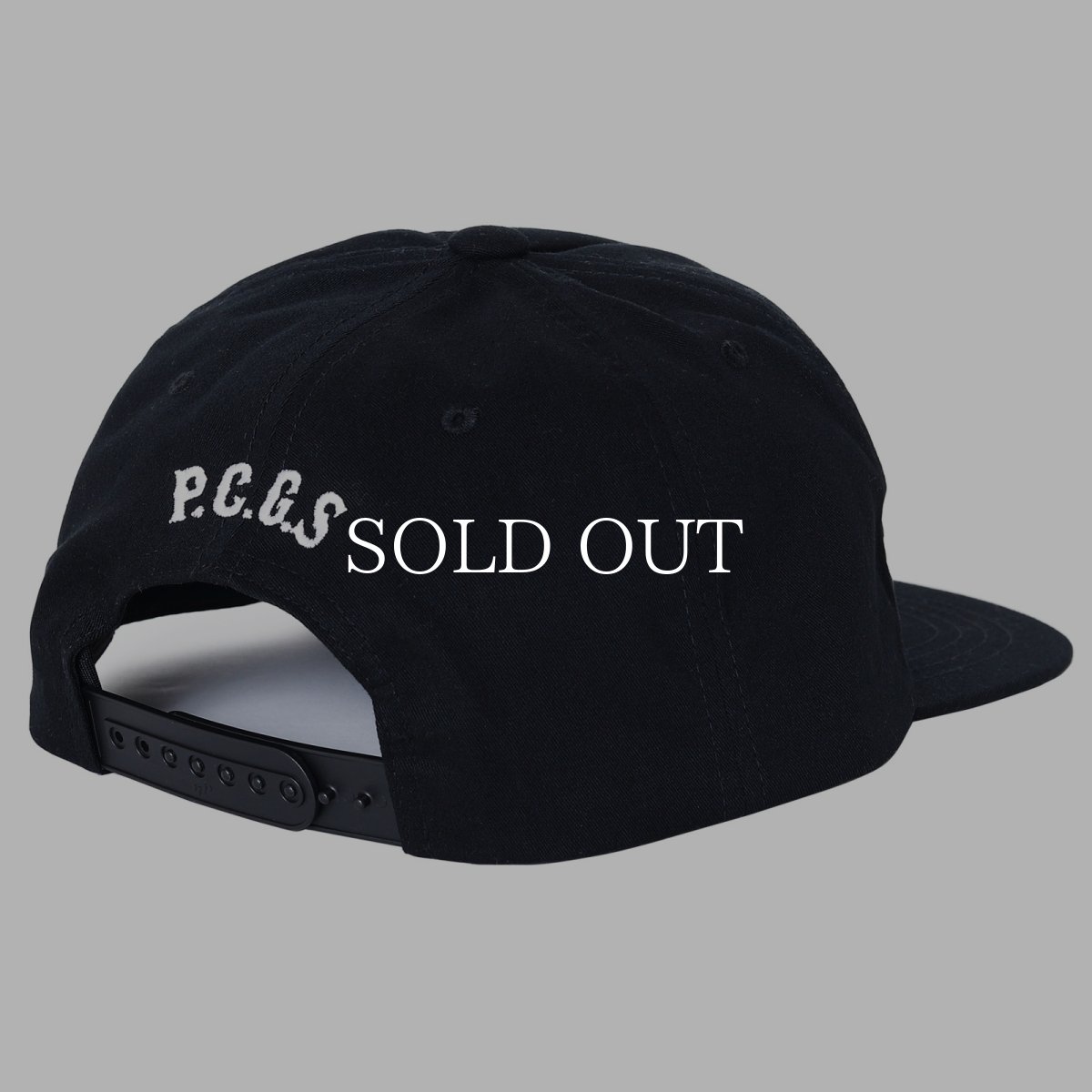 画像3: PORKCHOP GARAGE SUPPLY  Through and Through CAP (3)