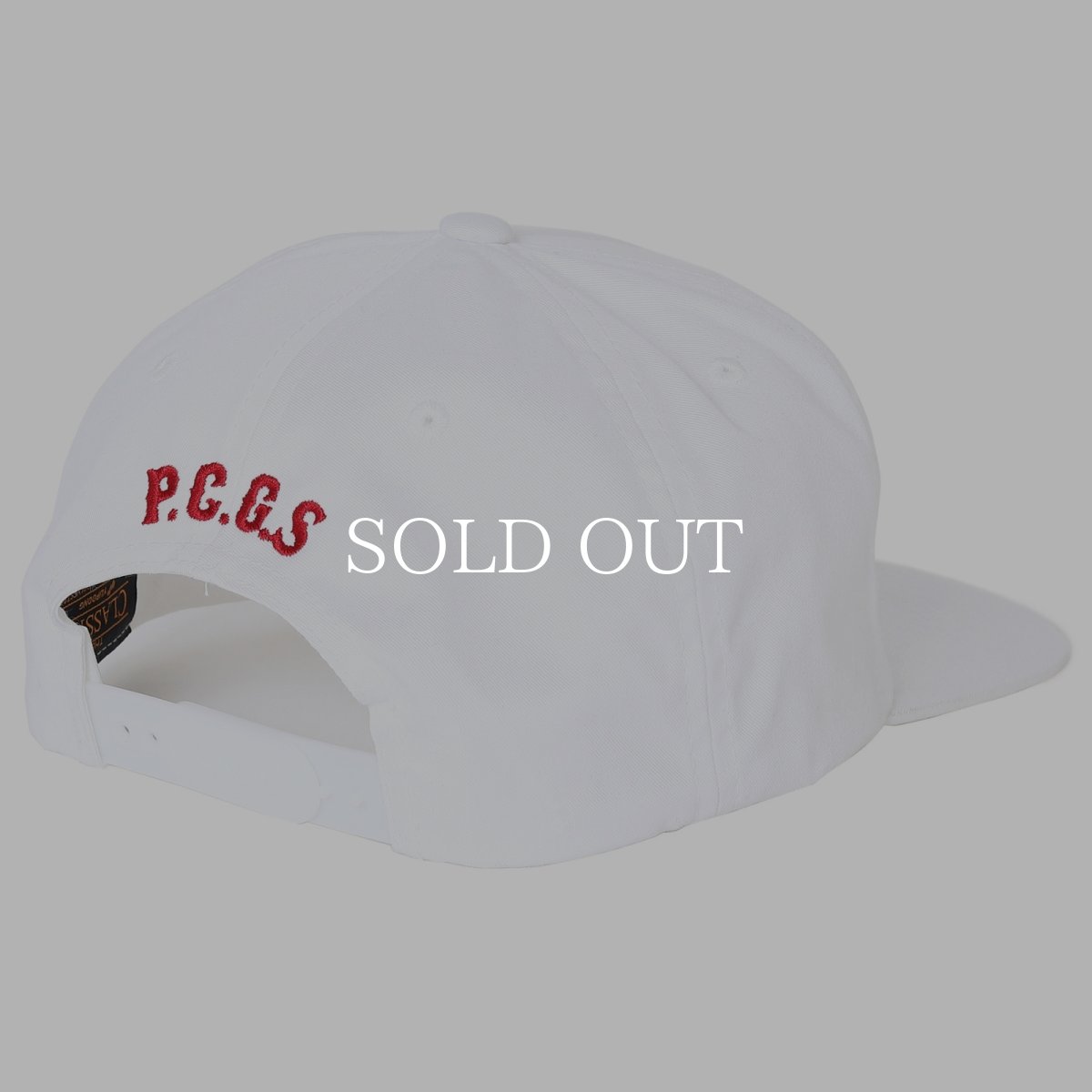 画像9: PORKCHOP GARAGE SUPPLY  Through and Through CAP (9)