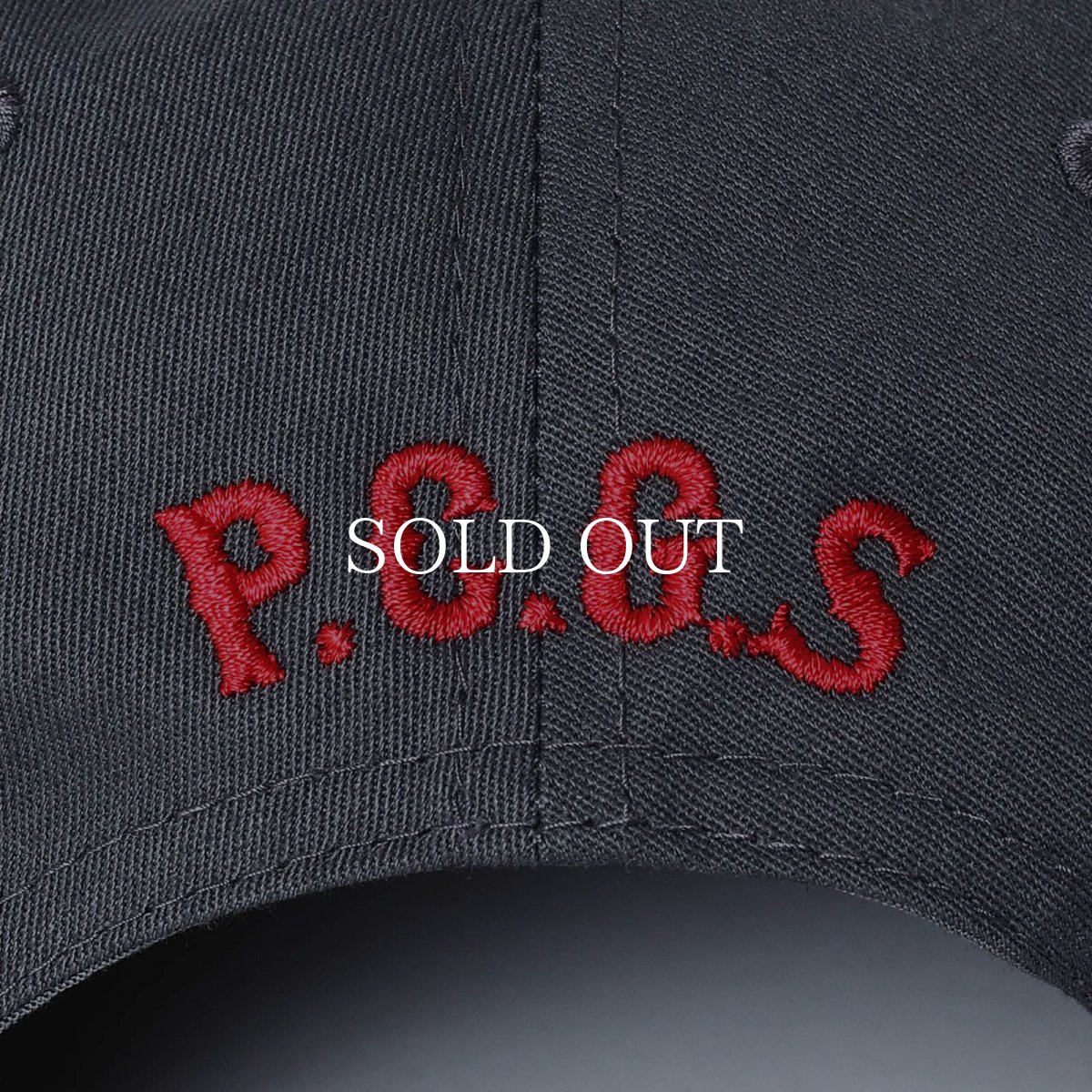 画像15: PORKCHOP GARAGE SUPPLY  Through and Through CAP (15)